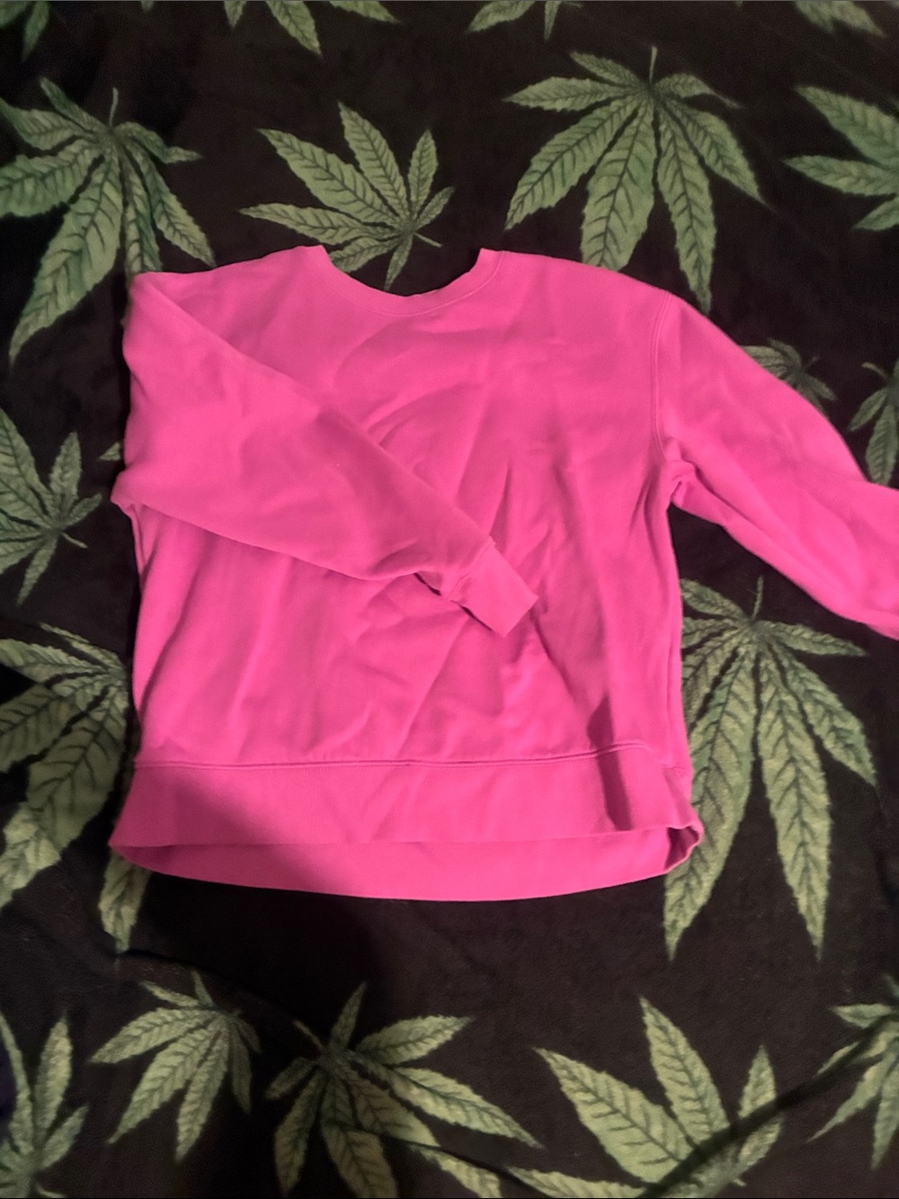 Women's Crewneck Sweatshirt - Hot Pink/purple